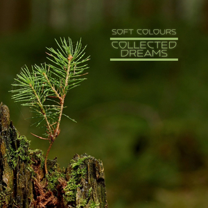 日本a片温泉下的母子
